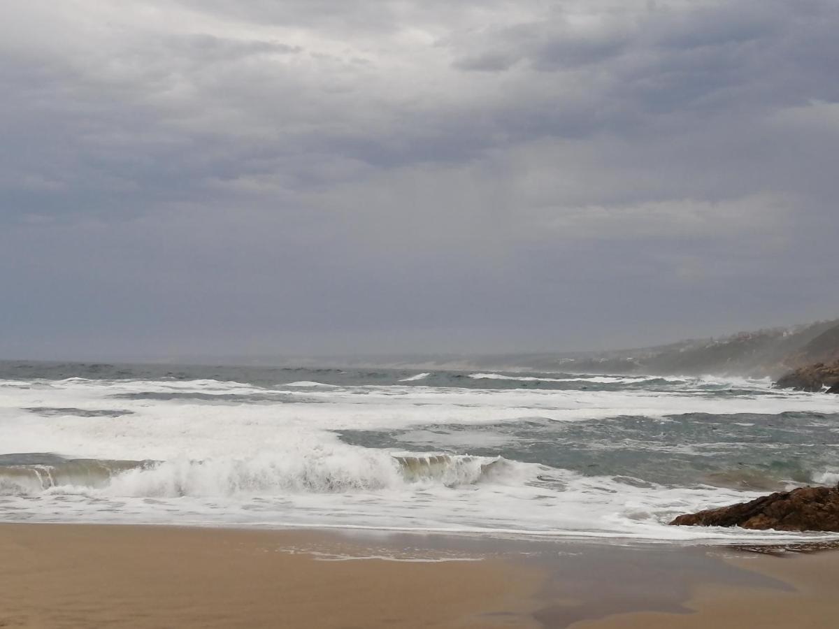 Ocean Room @ 66 Fynbos موسيلباي المظهر الخارجي الصورة
