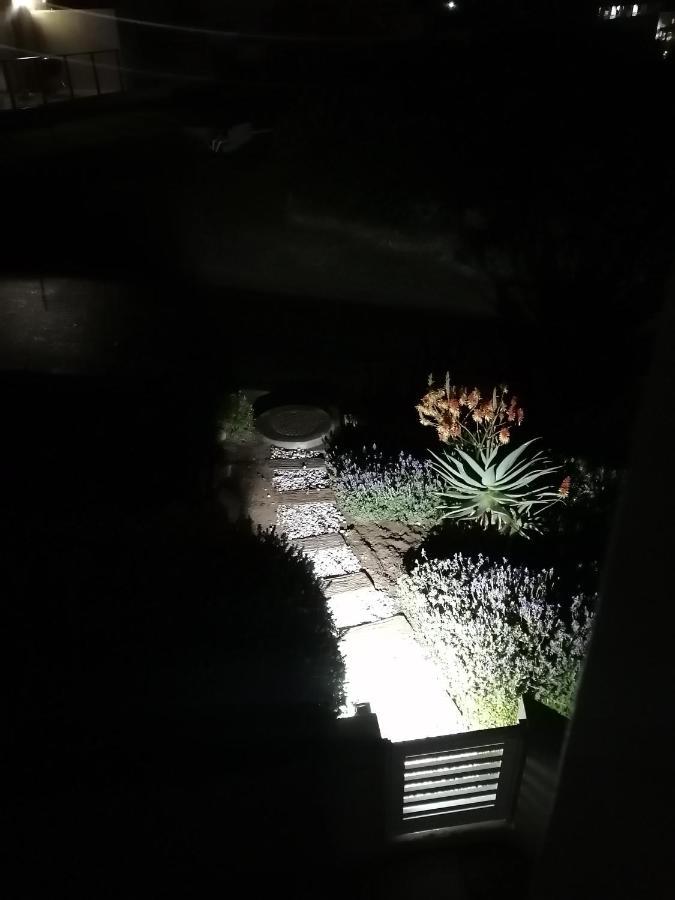 Ocean Room @ 66 Fynbos موسيلباي المظهر الخارجي الصورة